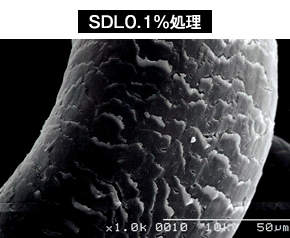SDL0.1％処理