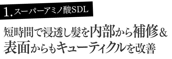 1.スーパーアミノ酸SDL