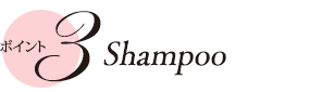 ポイント 3　Shampoo