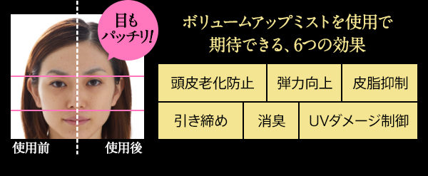 エス ハート エス S Heart S ボリュームアップミスト 150ml サロン系シャンプー トリートメント通販 ヘアケア スタイル